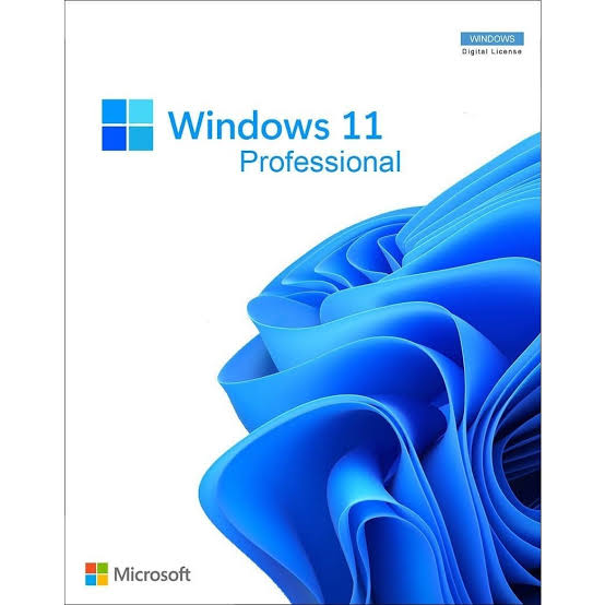 Windows 11 Professional for PC - Image 3