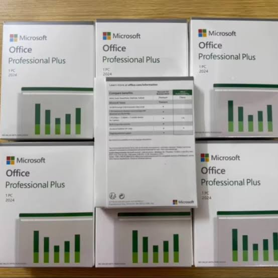 Office Professional Plus 2024 for Windows - Image 2